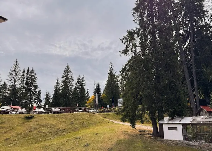 Gardenia * بامبوروفو