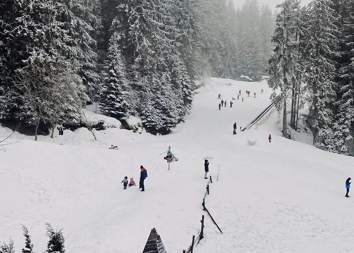 Gardenia بامبوروفو